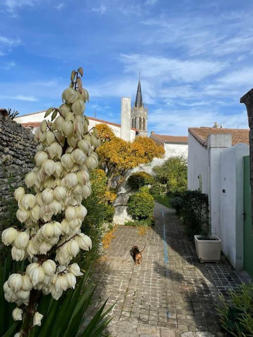 Maison De Charme A La Couarde-Sur-Mer Buitenkant foto